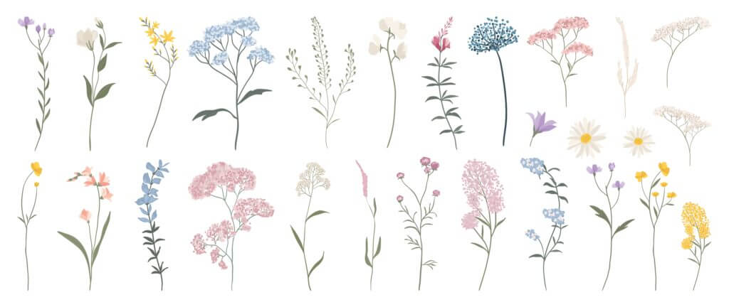 Tips menjadi kontributor Shutterstock 