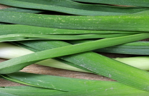 Warna green leek
