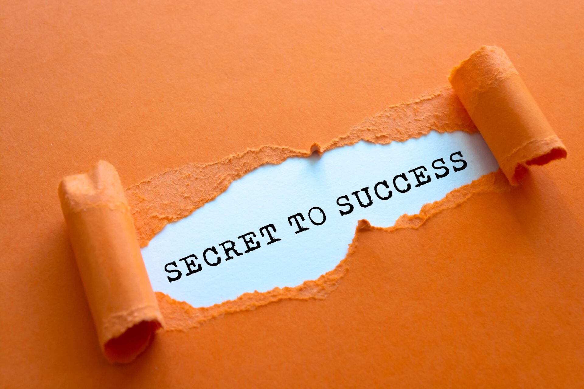 Tips Sukses Memulai Bisnis Fotografi Dengan Kamera DSLR