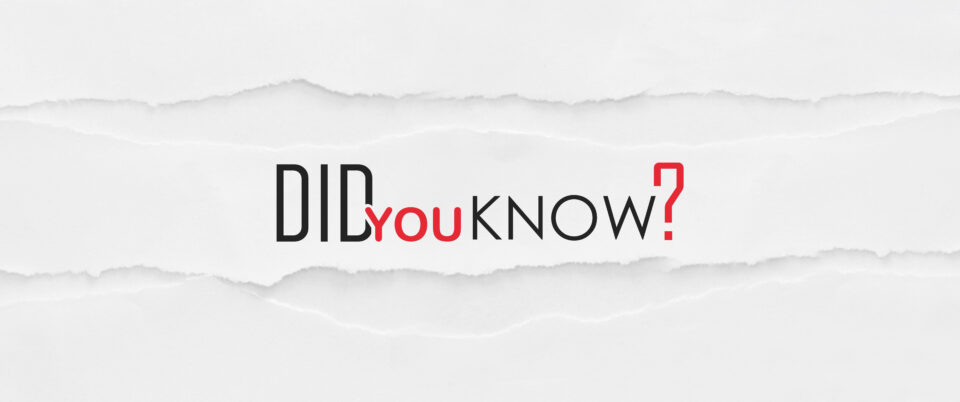 Perbedaan Shutterstock Dengan Shutterstock Contributor