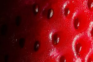 berry chic ai trends